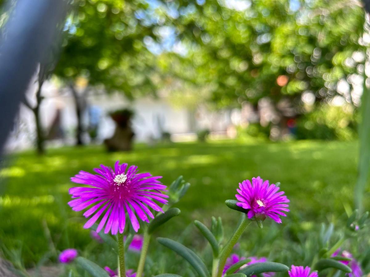 Apartment River Klis Dış mekan fotoğraf